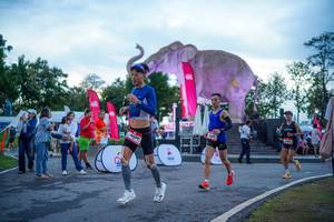 BIB: 
                            <button type="button" onclick="openModal(26551723)" class="btn btn-primary btn-sm float-right btn-popup" data-toggle="modal" data-target=".modal-high-quality">
                        <i class="fas fa-shopping-cart"></i> Add to Cart
                    </button>
                                            <button type="button" onclick="isThisMe(26551723, true)" class="btn btn-success btn-sm float-right btn-popup btn-isme hidden" data-toggle="tooltip" data-placement="bottom" title="นี่คือรูปของคุณใช่ไหม คลิกที่นี่เพื่อเอาเข้าอัลบั้ม">
                        <i class="fas fa-plus"></i> Add to album
                    </button>
                    <button type="button" onclick="isThisMe(26551723, false)" class="btn btn-warning btn-sm float-right btn-popup btn-isnotme hidden">
                        <i class="fas fa-ban"></i> Remove from album
                    </button>